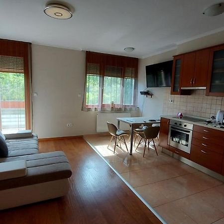 Sunny Loft Kecskemét Leilighet Eksteriør bilde
